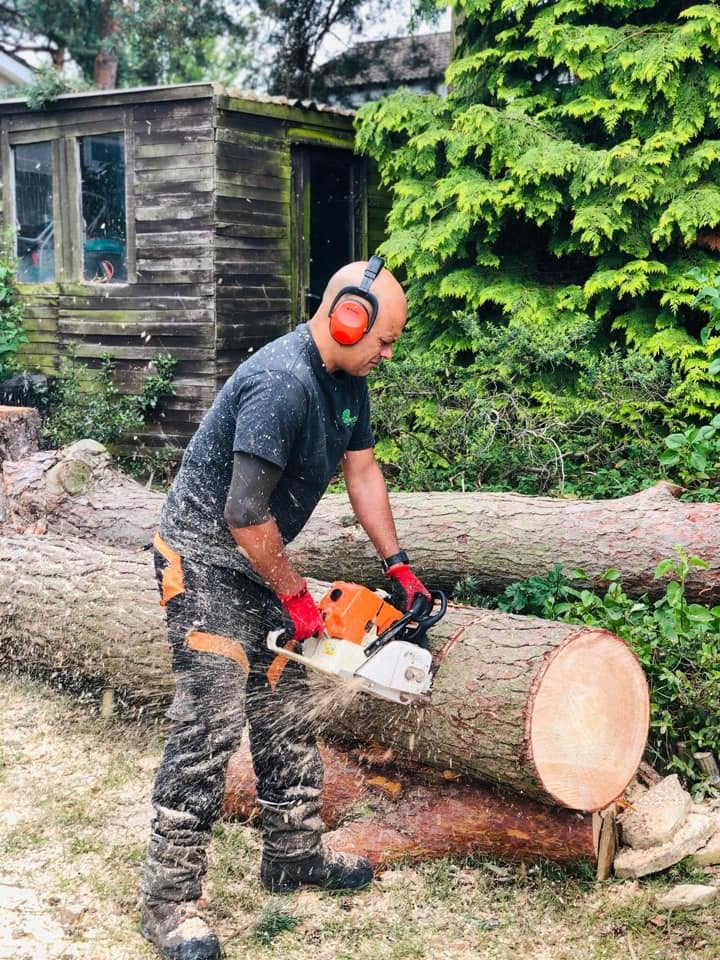 Tree surgery being carried out in Aldershot, Hampshire
